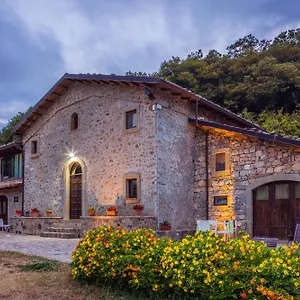 Il Vignale Longi